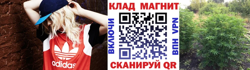 Наркошоп купить Бошки Шишки  A-PVP  ГАШ  Меф  Новокузнецк