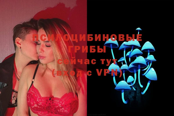 PSILOCYBIN Сосновоборск